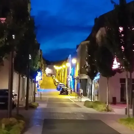 Le Citadin